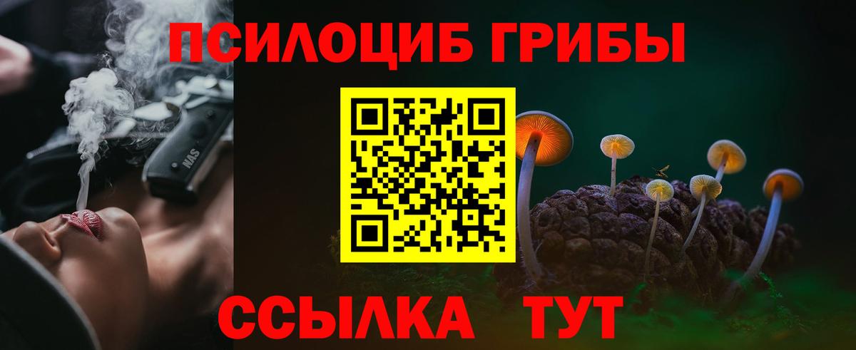 Ярославль  Псилоцибиновые грибы ЛСД  закладка  Вход с VPN  Псилоцибиновые грибы Cubensis 